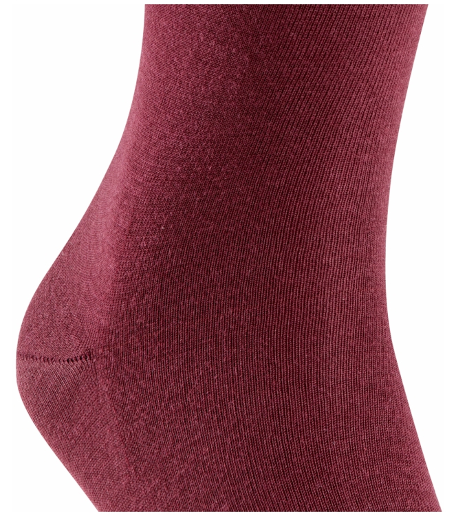 Falke Falke Airport <span>14435 8596 Airport sokken</span> Barolo Falke Airport <span>14435 8596 Airport sokken</span> 14435 8596 Airport sokken bordeaux - www.bremmerschoenen.live - Bremmer Schoenen