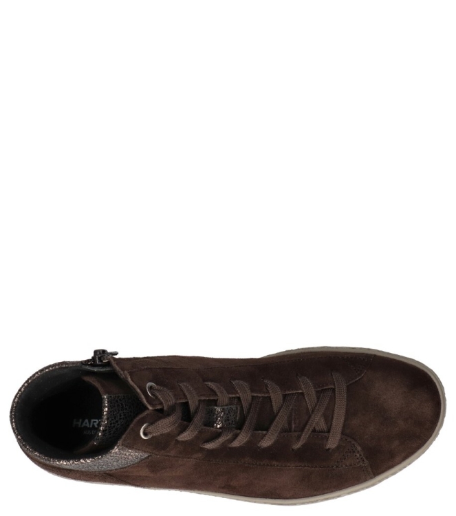 Hartjes Hartjes sneaker <span>172.1404 77/36 Phil</span> 77/36 dunkelbraun altgold Hartjes sneaker <span>172.1404 77/36 Phil</span> 172.1404 77/36 Phil bruin - www.bremmerschoenen.live - Bremmer Schoenen