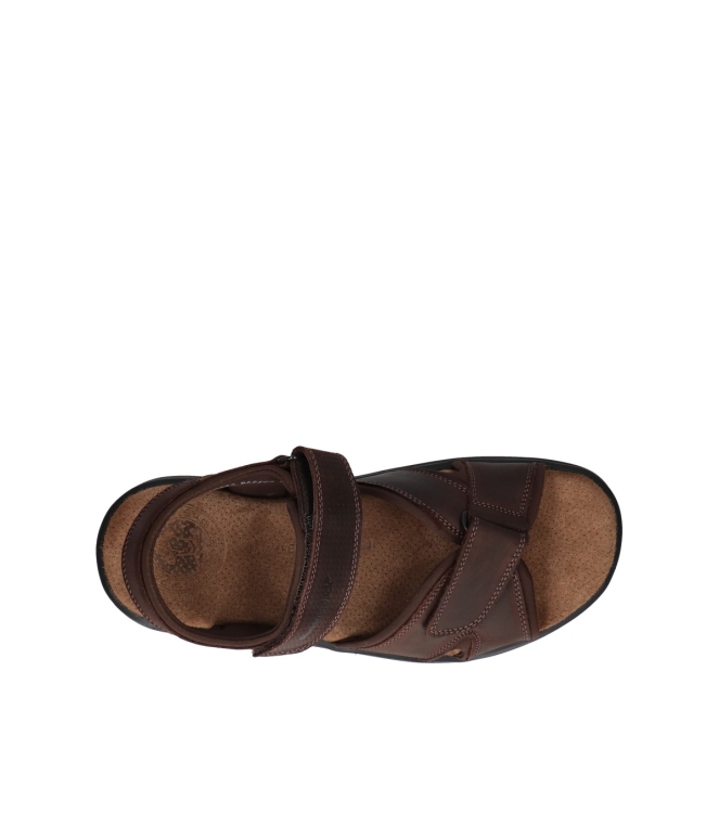Panama Jack Panama Jack sandalen <span>Sanders Basics C1</span> C1 Napa Grass Marron/Brown Panama Jack sandalen <span>Sanders Basics C1</span> Sanders Basics C1 bruin - www.bremmerschoenen.live - Bremmer Schoenen
