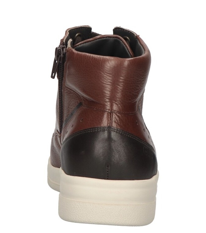 Gijs Gijs sneaker <span>2140 208 1239</span> 1239 bruin Gijs sneaker <span>2140 208 1239</span> 2140 208 1239 cognac - www.bremmerschoenen.live - Bremmer Schoenen