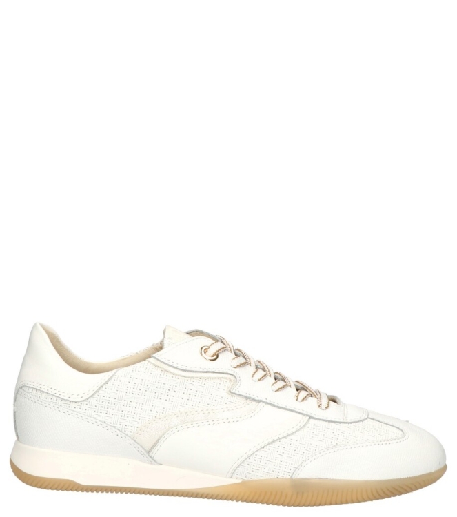 DL-Sport DL-Sport sneaker <span>6572 versione 03</span> alpina bianco matrix bianco DL-Sport sneaker <span>6572 versione 03</span> 6572 versione 03 wit - www.bremmerschoenen.live - Bremmer Schoenen