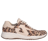 Kleur Beige