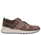 Kleur Bruin