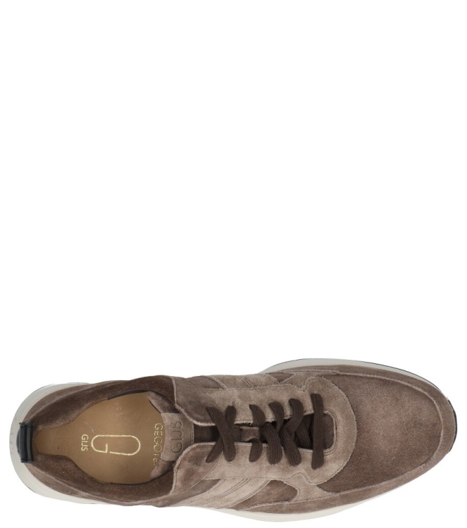Gijs Gijs sneaker <span>2120 902 0731</span> 0731 bruin Gijs sneaker <span>2120 902 0731</span> 2120 902 0731 bruin - www.bremmerschoenen.live - Bremmer Schoenen