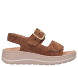 Kleur Cognac