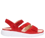 Kleur Rood