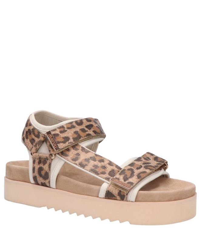Maruti Maruti sandaal <span>66.1653.01 DJN Beau</span> DJN leopard brown Maruti sandaal <span>66.1653.01 DJN Beau</span> 66.1653.01 DJN Beau cognac - www.bremmerschoenen.live - Bremmer Schoenen