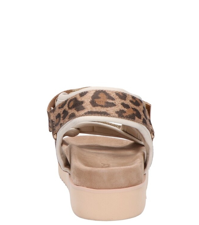 Maruti Maruti sandaal <span>66.1653.01 DJN Beau</span> DJN leopard brown Maruti sandaal <span>66.1653.01 DJN Beau</span> 66.1653.01 DJN Beau cognac - www.bremmerschoenen.live - Bremmer Schoenen