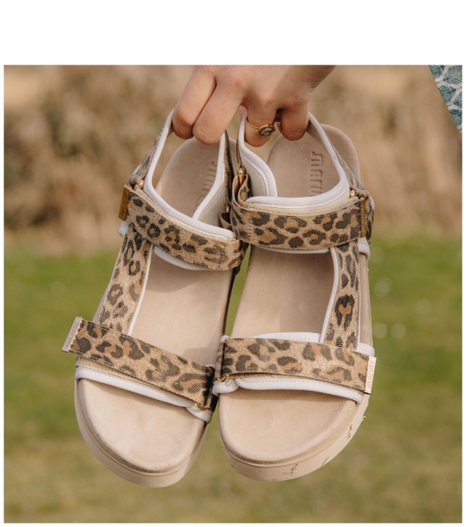 Maruti Maruti sandaal <span>66.1653.01 DJN Beau</span> DJN leopard brown Maruti sandaal <span>66.1653.01 DJN Beau</span> 66.1653.01 DJN Beau cognac - www.bremmerschoenen.live - Bremmer Schoenen