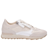Kleur Beige