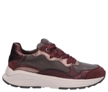 Kleur Bordeaux