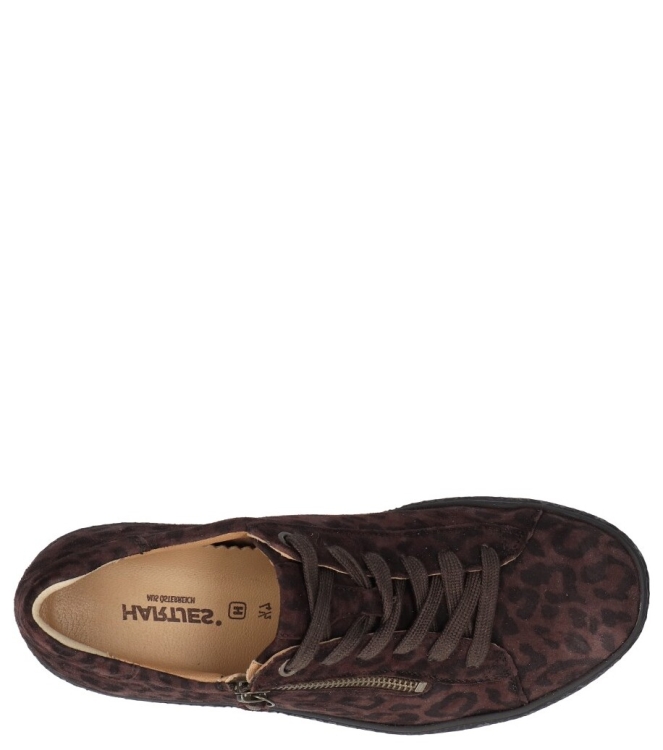 Hartjes Hartjes Sneaker <span>162.1402 77/00 Phil</span> 77/00 Dunkelbraun Hartjes Sneaker <span>162.1402 77/00 Phil</span> 162.1402 77/00 Phil bruin - www.bremmerschoenen.live - Bremmer Schoenen