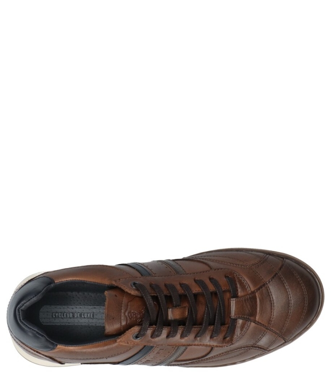 Cycleur de Luxe Cycleur de Luxe sneaker <span>CDLM262138 Newcrush</span> dark cognac Cycleur de Luxe sneaker <span>CDLM262138 Newcrush</span> CDLM262138 Newcrush cognac - www.bremmerschoenen.live - Bremmer Schoenen