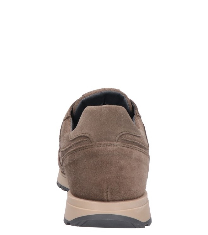 Cycleur de Luxe Cycleur de Luxe sneaker <span>CDLM262144 Jog V2</span> walnut Cycleur de Luxe sneaker <span>CDLM262144 Jog V2</span> CDLM262144 Jog V2 groen - www.bremmerschoenen.live - Bremmer Schoenen