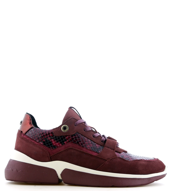 Floris van Bommel Floris van Bommel sneaker <span>85291/02</span> Bordo Floris van Bommel sneaker <span>85291/02</span> 85291/02 bordeaux - www.bremmerschoenen.live - Bremmer Schoenen