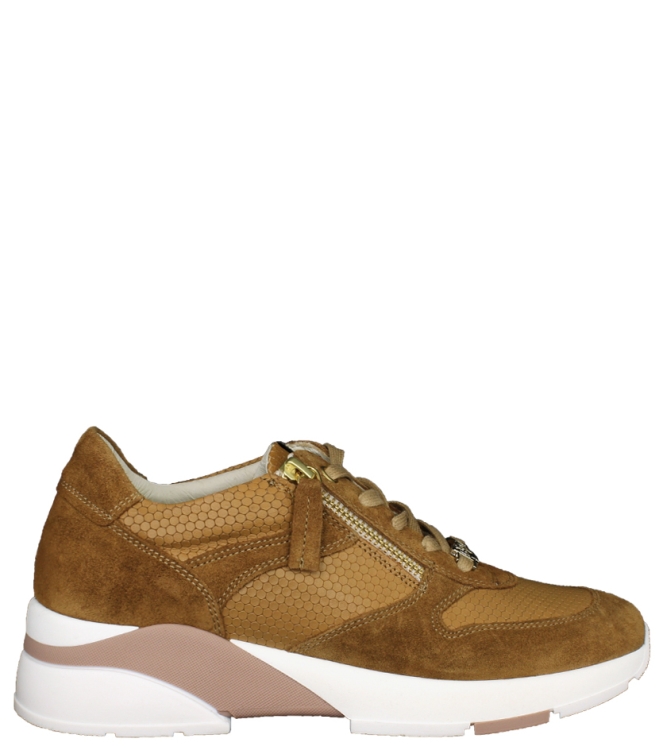 DL-Sport DL-Sport sneaker <span>4638 versione 03 velour cognac</span> cognac DL-Sport sneaker <span>4638 versione 03 velour cognac</span> 4638 versione 03 velour cognac cognac - www.bremmerschoenen.live - Bremmer Schoenen